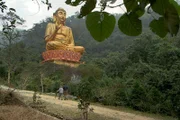 Dao Kim Long (li.) wandert mit Bernard Fontanille (re.) durch den Nationalpark Ba Vi unweit von Hanoi.