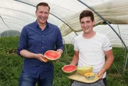 Alexander Herrmann mit Thomas Barth im Folientunnel mit Melonen in Bergkirchen (Lkr. Dachau, Oberbayern). Weiteres Bildmaterial finden Sie unter www.br-foto.de.