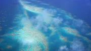 Milliarden von Korallentierchen haben das gr&ouml;&szlig;te Bauwerk der Erde erschaffen, das 2300 km lange Great Barrier Reef.
