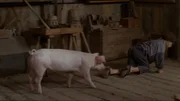 Michel (Jan Ohlsson) ist fleißig dabei, dem Schwein Kunststücke beizubringen.