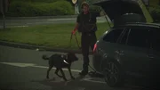 Ein K9-Polizist mit einem Hund kontrolliert den Kofferraum eines Autos.
