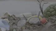 Ein Einsiedlerkrebs macht sich die Umweltverschmutzung zunutze und zieht in einen Flaschenverschluss.