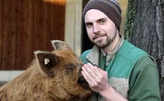 Ein Spaziergang der besonderen Art: Kune-Kune-Schwein Tommy macht mit Tierpfleger Marten einen Ausflug durch die Wilhelma- und macht Bekanntschaft mit vielen Tieren. Besonders die Geparde scheinen ganz verrückt nach dem kleinen Schwein zu sein! Ein Spaziergang der besonderen Art: Kune-Kune-Schwein Tommy macht mit Tierpfleger Marten einen Ausflug durch die Wilhelma- und macht Bekanntschaft mit vielen Tieren. Besonders die Geparde scheinen ganz verrückt nach dem kleinen Schwein zu sein!