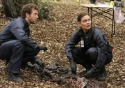 Jack Hodgins (TJ Thyne, l.); Temperance Brennan (Emily Deschanel, r.)