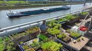 Jan Uekermann ist Gärtner in der Bremer Gemüsewerft. Er kommt ursprünglich von der Insel Sylt und freut sich darüber, dass er an seinem Arbeitsplatz Ebbe und Flut spüren kann.