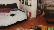 In der Tatwohnung kann die Spurensicherung der Polizei anhand der Hinweise rekonstruieren, was genau passiert sein muss. In der Tatwohnung kann die Spurensicherung der Polizei anhand der Hinweise rekonstruieren, was genau passiert sein muss.