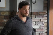 Dr. Alex Karev (Justin Chambers)