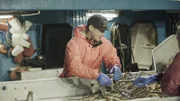 Summer Bay Deckhand, Landon Cheney, is focused as he counts the King Crab on the sorting table.