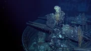 Wenige Wochen vor Ende des Zweiten Weltkriegs wird die USS Indianapolis gewaltsam versenkt. Neunhundert Männer gehen ins Wasser, aber niemand sucht nach ihnen. Fünf Tage lang kämpfen sie gegen Ertrinken und Hai-Angriffe. Es ist die schlimmste Katastrophe auf See in der Geschichte der US-Marine.