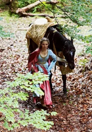 Prinzessin Elisabeth ist schon seit vielen Jahren dem Prinzen Leopold versprochen. Auf den Weg zur Vermählung muss sich das Mädchen allerdings alleine machen, denn ihre kranke Mutter kann sie nicht begleiten. Zu ihrem Schutz bekommt sie drei Dinge mit: das sprechende Pferd Falada, drei geheimnisvolle Blutstropfen und die Zofe Magdalena. Diese hat in Kindertagen eine unverzeihliche Schmach durch das Königshaus erlitten und nutzt die Reise, um sich für das Unrecht zu rächen. Sie zwingt die Prinzessin zum Rollentausch. Die hinterlistige Zofe tritt fortan am Hofe Leopolds als Prinzessin und zukünftige Braut auf, während sie Elisabeth zum Gänsehüten schickt. Vor allem der Vater des Bräutigams, König Gustav, findet großen Gefallen an der resoluten jungen Dame und zweifelt keinen Moment daran, dass es sich bei ihr um die richtige Thronfolgerin für seine verstorbene Gattin handelt. Doch so einfach lässt sich das Schicksal der echten Prinzessin nicht wenden; zwei füreinander bestimmte Herzen sind so leicht nicht zu täuschen. Prinz Leopold verliebt sich in die schöne Gänsemagd und auch sein bester Freund Kürdchen, der Gänsehirt, merkt, dass Elisabeth und Leopold zusammengehören. Er tut alles in seiner Macht stehende, um die Liebenden zusammen zu bringen. Wie aber soll Elisabeth selbst die dunkle Macht Magdalenas brechen und das Glück als rechtmäßige Braut finden? Sich ihrer eigenen Kraft bewusst werdend, nimmt sie ihr Schicksal selbst in die Hand und findet auf ungewöhnlichen Wegen ihren Platz als Königin an Leopolds Seite.