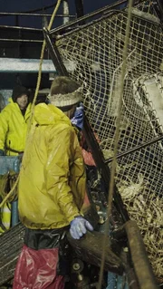 The Summer Bay crew pulls up another pot of King crab.