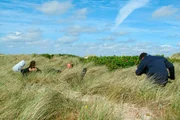 NDR Fernsehen UNSERE GESCHICHTE - ALS DIE PROMIS NACH SYLT KAMEN, am Montag (06.08.12) um 21:00 Uhr. Dreharbeiten auf Sylt.