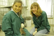Anna hilft der Biologin Annika bei einem Experiment mit Mäusen. Zu den Probanden gehört auch eine Ratte: Denn sie ist nichts anderes als eine große Maus.