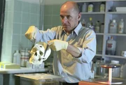 Dr. Robert Kolmaar untersucht den Schädel der unbekannten Toten... (Ulrich Mühe)