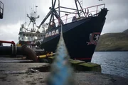 F/V Saga at dock in Alaska.