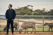 Der schwerreiche griechische Drogenboss Kosta (Alex Dimitriades) entschließt sich, die Dinge selbst in die Hand zu nehmen und reist nach Australien.
