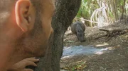 Ed Stafford watching a huge hippopotamus suddenly appear in camp.
