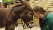 Tierpflegerin Lisa Voß und der sture Esel Emil.