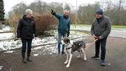 Der große Herdenschutzhund Asco bei Familie Körber.