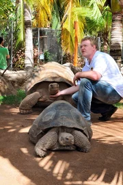 Galapagoas-Schildkröte Tomasa wird zu ihrem Männchen zurückgebracht. Hier mit Tierarzt Dr. Heiner Müller.