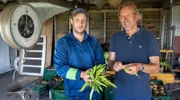 Frank Buchholz erstes Ziel ist die "Gärtnerei Trimpe". Hier bauen Daan Trimpe (l) und seine Frau Stéphanie neben 30 Gemüsekulturen einen ganz besonderen Schatz an: "Koudumer Beantsjes", eine besonders schmackhafte regionale Bohnensorte.