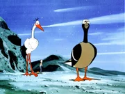Schuldbewusst kehren Nils, Krümel und der Storch Ermenrich von ihrem ungenehmigten Ausflug zu Akka und ihrer Schar zurück.
