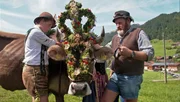 Bunt geschmückt und mit lautem Gebimmel kommt Kuh Lena mit ihrer Herde ins Tal zu ihren BesitzerInnen.