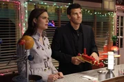 Die gefundene Leiche wurde nach Washinton ins Jeffersonian-Institut geschickt. Brennan (Emily Deschanel) und Booth (David Boreanaz) bleiben jedoch vor Ort, um die etwas schrulligen W&uuml;stenbewohner zu befragen.