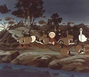 Die Wildgaense haben Per-Ola gerettet.