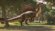 Durch die verkürzten Schwimmfüße war Spinosaurus kein ausdauernder Fußgänger.