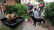 Carne-Corso Rüde Herrmann bei Familie Dias