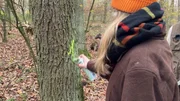 Lena markiert einen Baum, der gefällt werden soll.