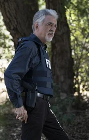 David Rossi (Joe Mantegna)