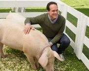Diedrich Bader (Greg Otto).