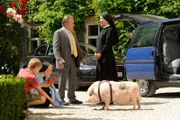 Wöller hat ein zweites Schwein organisiert. Ende gut, alles gut (v.li.: Lorenz von Glasenapp, Emanuela von Frankenberg, Fritz Wepper, Janina Hartwig).