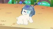 Baby Ice Bear