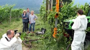 Sabotage auf dem Weingut: Katharina (Lisa Kreuzer, 2.v.l.) und Laura (Charleen Deetz, 2.v.r.) ahnen nicht, dass Felix (Harald Windisch, m.) seine Finger im Spiel hat. Sabotage auf dem Weingut: Katharina (Lisa Kreuzer, 2.v.l.) und Laura (Charleen Deetz, 2.v.r.) ahnen nicht, dass Felix (Harald Windisch, m.) seine Finger im Spiel hat.