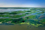 Traumrouten Amerikas Durch Louisiana entlang des Mississippi Eine Reise durch Louisiana, immer entlang den Ufern des Mississippi