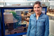Degus brauchen viel Platz. In diesem Käfig - hier im Tierheim München - können höchstens drei Tiere leben.