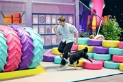 Dominik Arend mit seinem Border Collie Ninja in Runde 1.