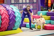 Julia Pottkämper mit ihrem Sibirian Husky Yuki in Runde 1.