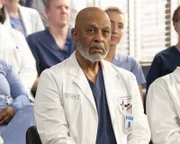 Dr. Richard Webber (James Pickens jr.)