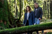 TV crime reporter Ruby Herring starts receiving anonymous tips when a cold case -- the unsolved murder of a local psychic – is reopened, and teams up with Seattle PD detective Jake Killian to find the killer.  Photo: Taylor Cole, John Wesley Shipp