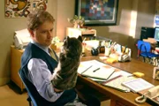 Dave Foley (Dr. Fulton).