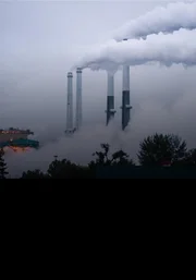 National Geographic documentary From the Ashes still photograph