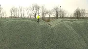 Über Scherben gehen, das kann Recycling-Chef Gerhard Biermann. Mensch und Maschine sortieren und säubern Altglas. Übrig bleiben zehntausende Tonnen gereinigte Scherben, die auf ihren Transport zur Hütte warten. Weitere Fotos erhalten Sie auf Anfrage.