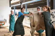 Lisa Rothe (Lilly Barshy, l.) schaut zu, während Maja (Bettina Zimmermann, m.) Kuh Lotte mit Besitzer Dirk Rothe (Peter Schneider) und Kollegin Julia (Meriel Hinsching, r.) untersucht.