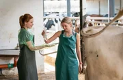 Julia Kramer (Meriel Hinsching, l.) untersucht Kuh Lotte, Hoftochter Lisa Rothe (Lilly Barshy) assistiert