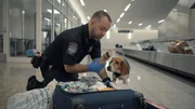 Verbotenes Vermehrungsmaterial: Am Flughafen von Atlanta werden Hundeführer Collins und sein Spürhund Mookie fündig.