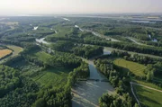 Auenlandschaft in Ungarn.